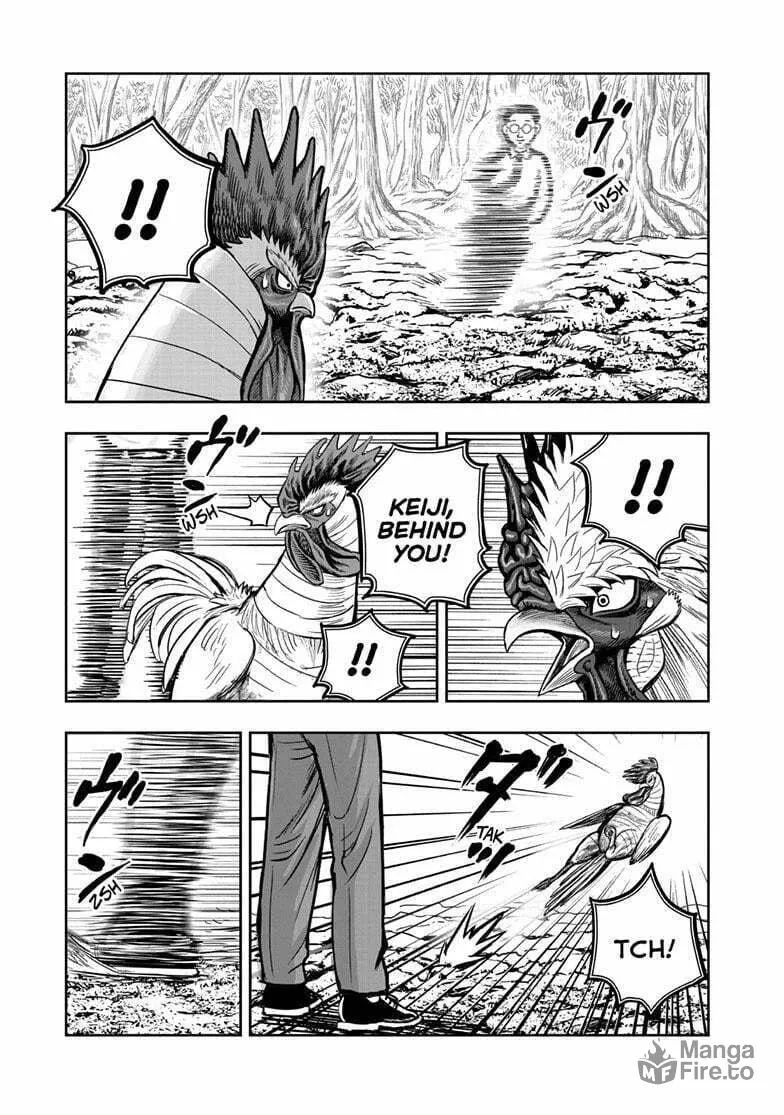 Rooster Fighter Chapter 39 page 20 - 