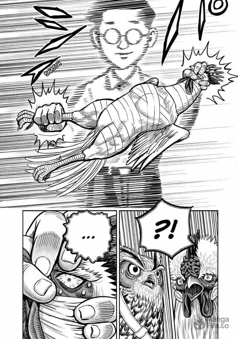 Rooster Fighter Chapter 39 page 21 - 