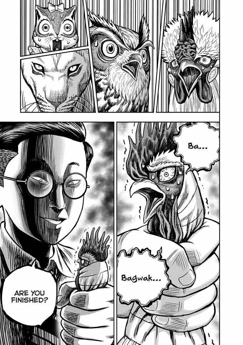 Rooster Fighter Chapter 39 page 38 - 