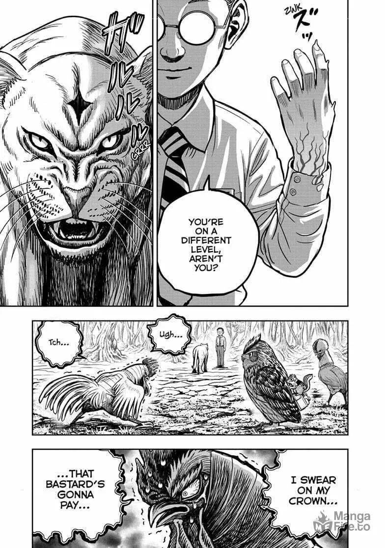 Rooster Fighter Chapter 39 page 42 - 