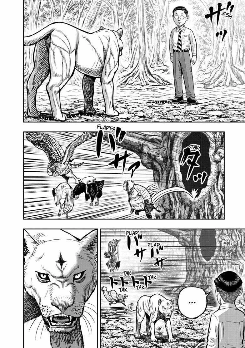 Rooster Fighter Chapter 39 page 47 - 
