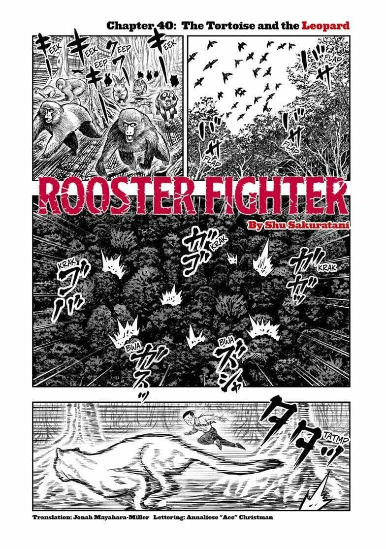 Rooster Fighter Chapter 40 page 1 - 