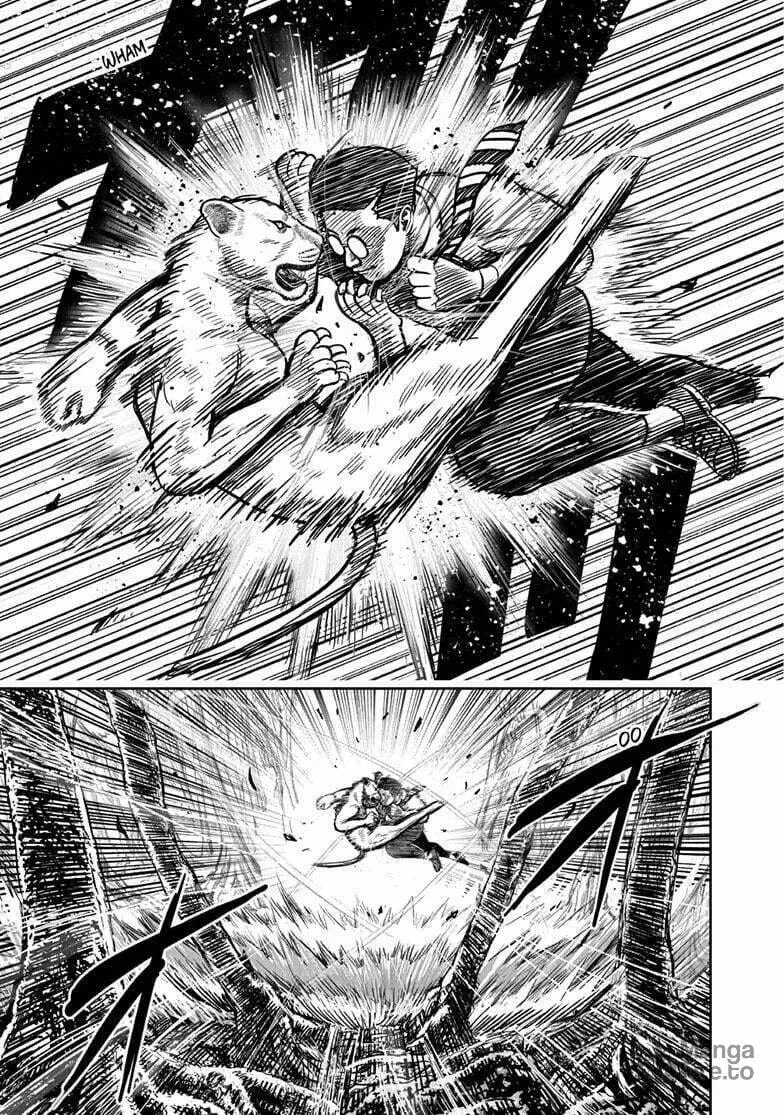 Rooster Fighter Chapter 40 page 12 - 