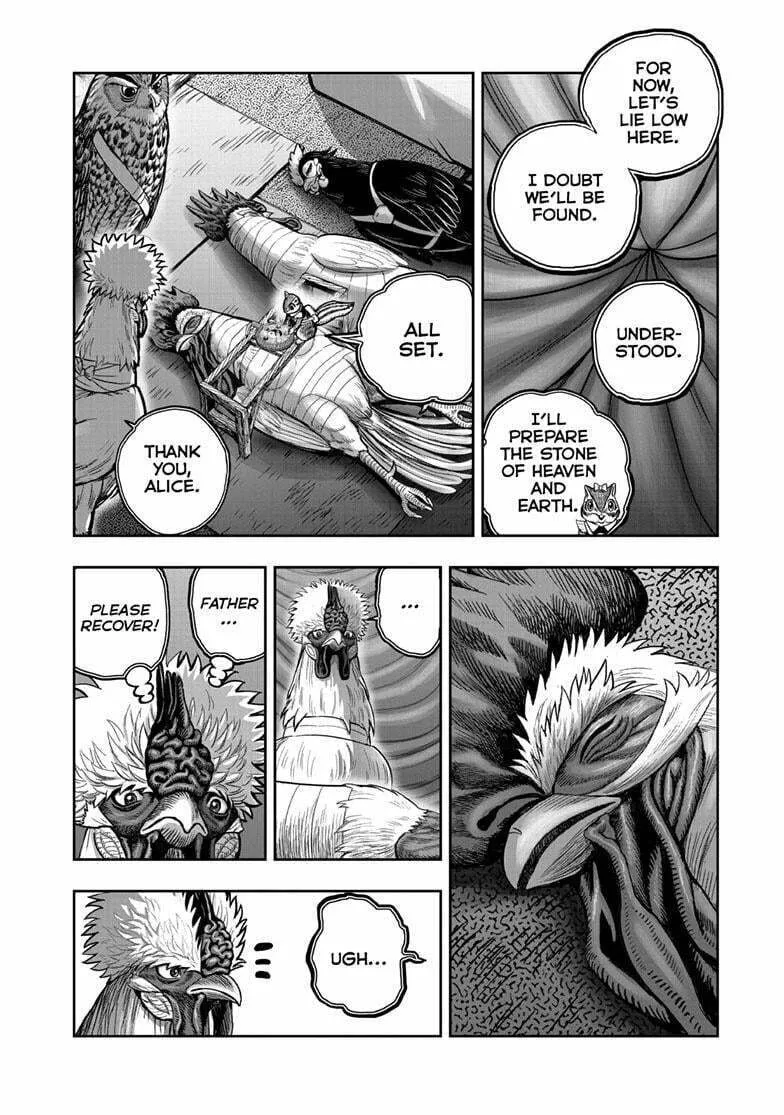 Rooster Fighter Chapter 41 page 11 - 