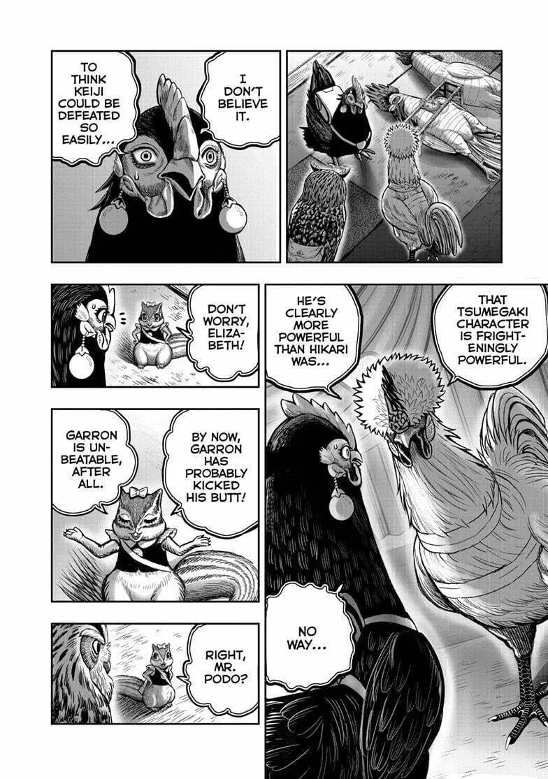 Rooster Fighter Chapter 41 page 13 - 