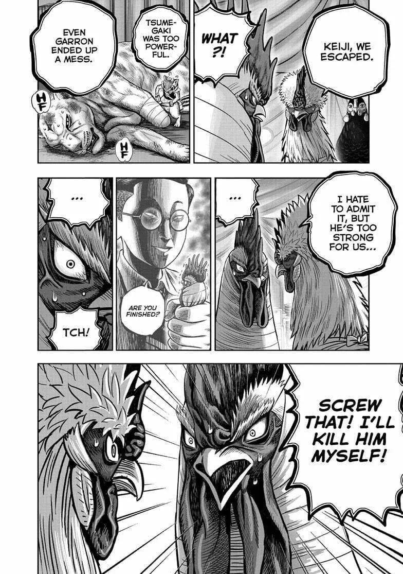 Rooster Fighter Chapter 41 page 19 - 
