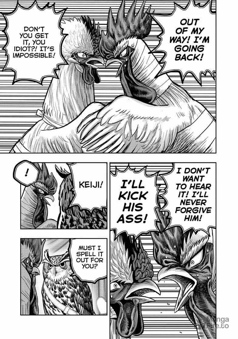 Rooster Fighter Chapter 41 page 20 - 