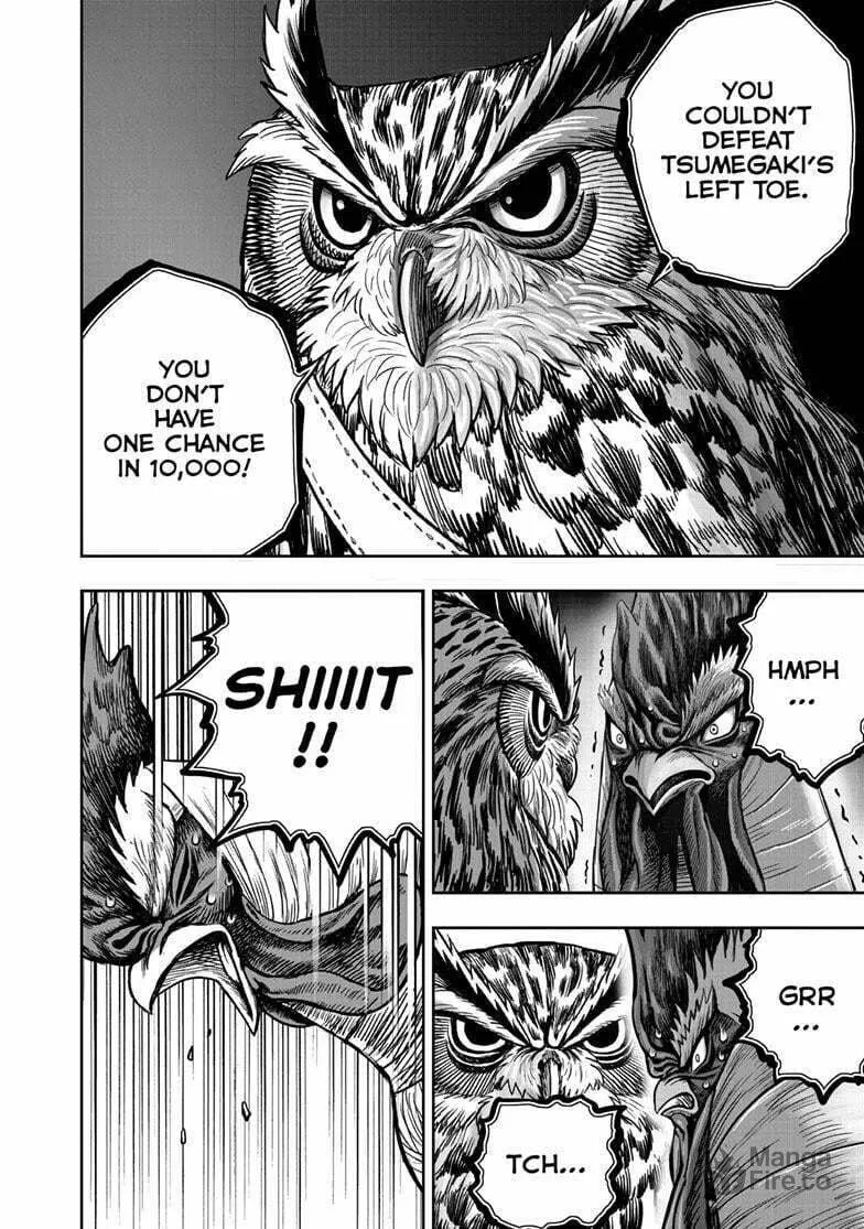 Rooster Fighter Chapter 41 page 21 - 