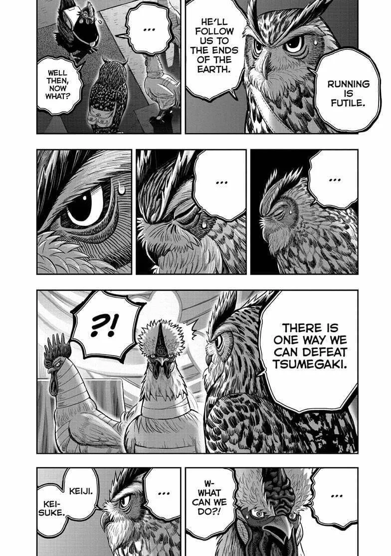 Rooster Fighter Chapter 41 page 23 - 