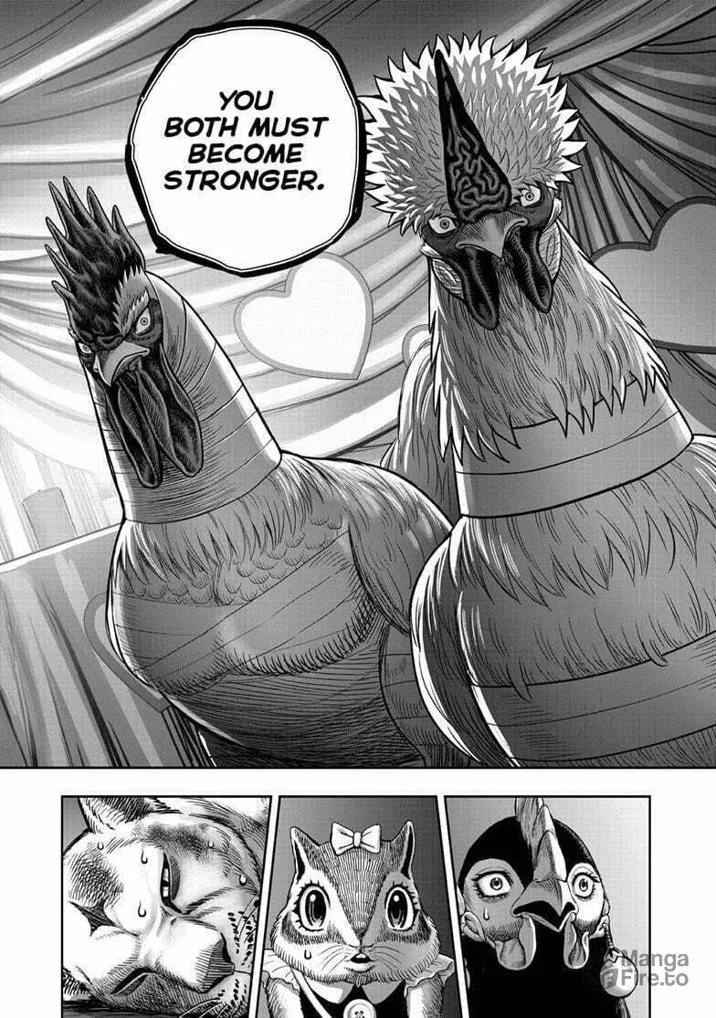 Rooster Fighter Chapter 41 page 24 - 