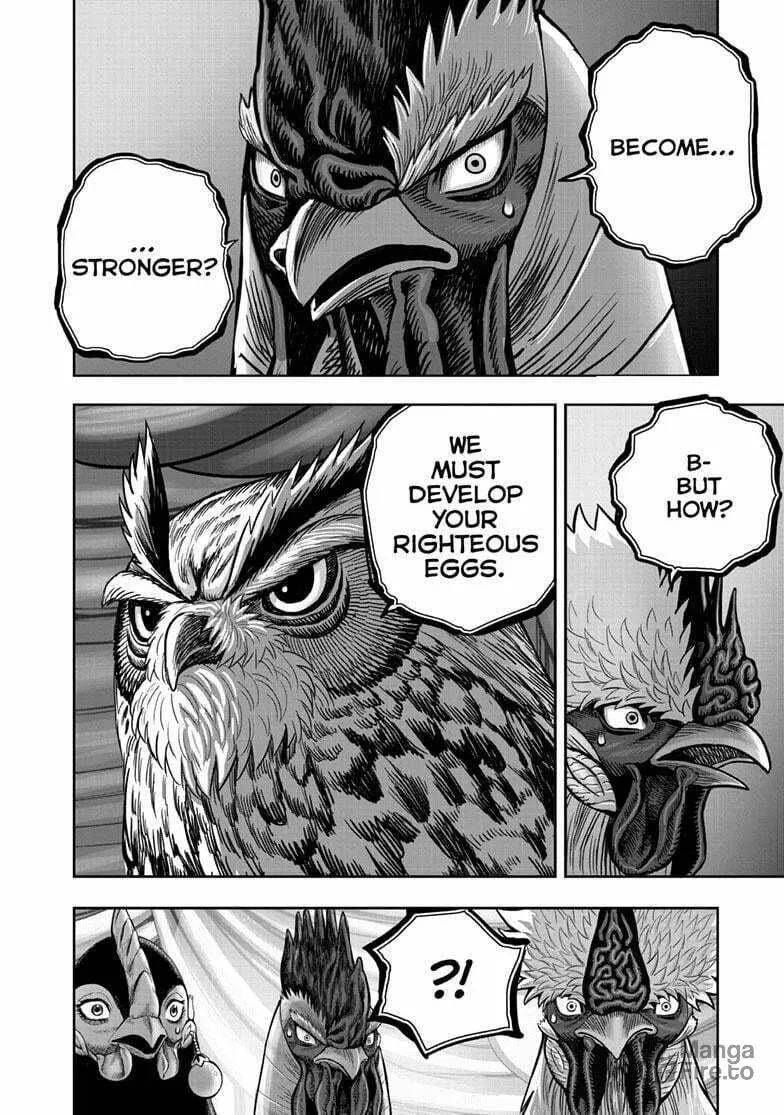 Rooster Fighter Chapter 41 page 25 - 