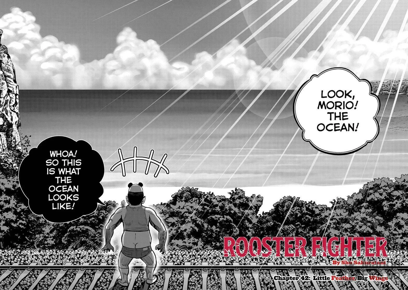 Rooster Fighter Chapter 42 page 3 - 