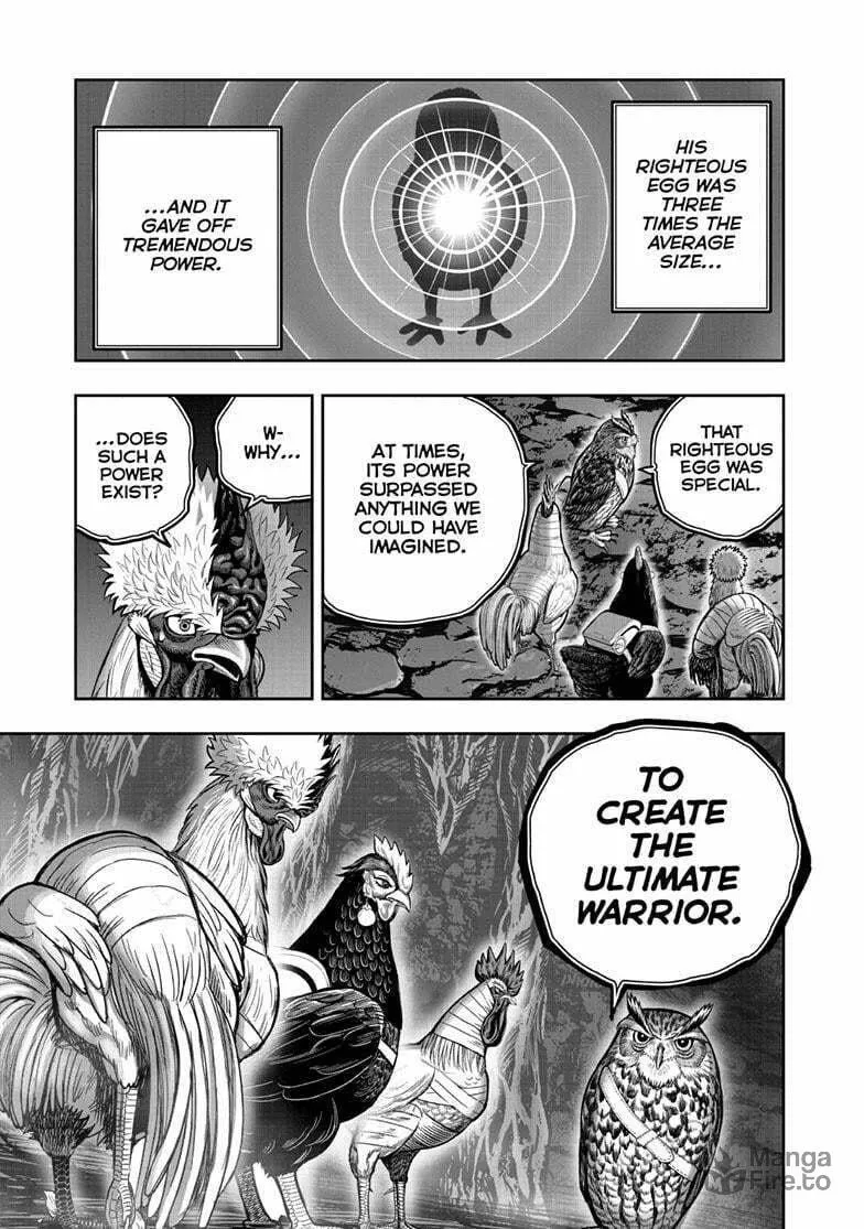 Rooster Fighter Chapter 43 page 20 - 