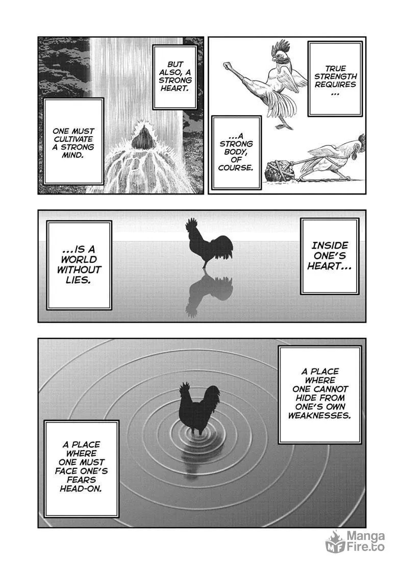 Rooster Fighter Chapter 43 page 21 - 
