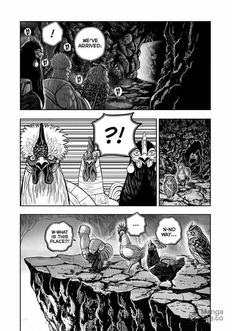 Rooster Fighter Chapter 43 page 10 - 