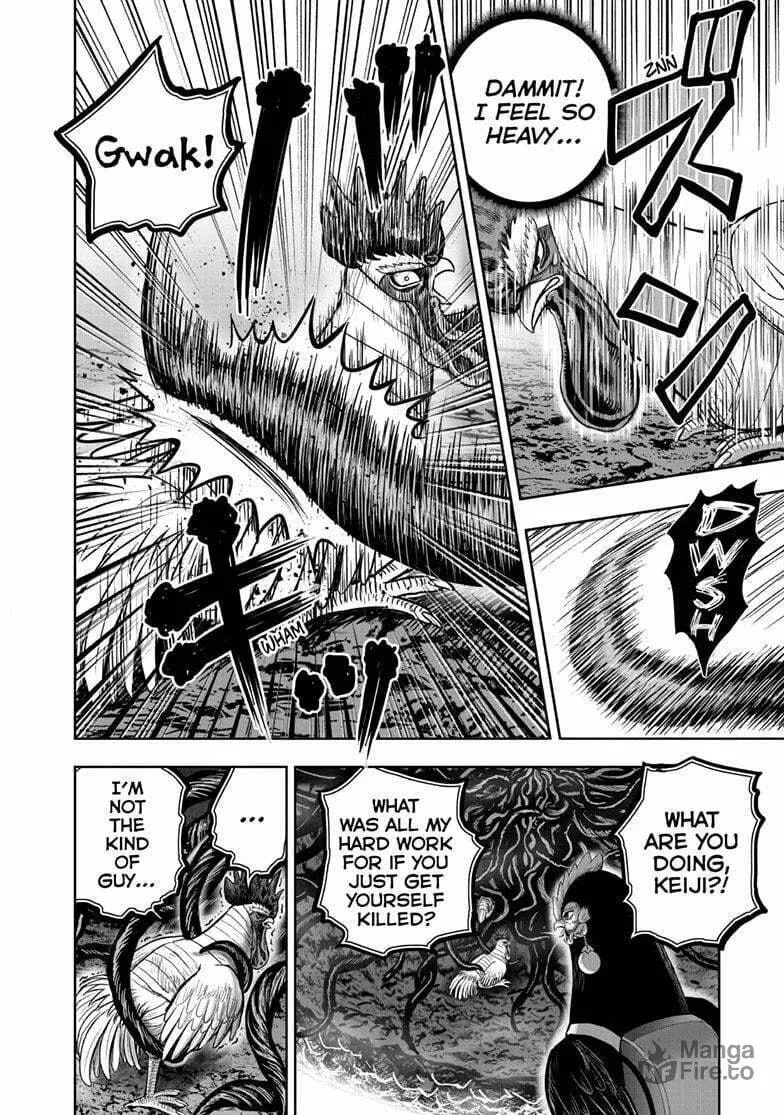 Rooster Fighter Chapter 44 page 24 - 