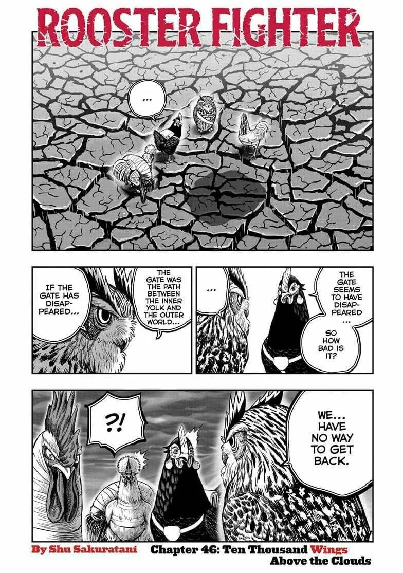 Rooster Fighter Chapter 46 page 2 - 
