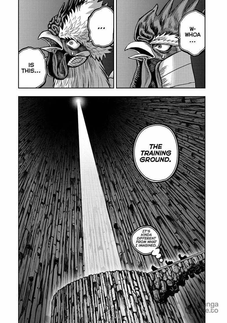 Rooster Fighter Chapter 46 page 18 - 