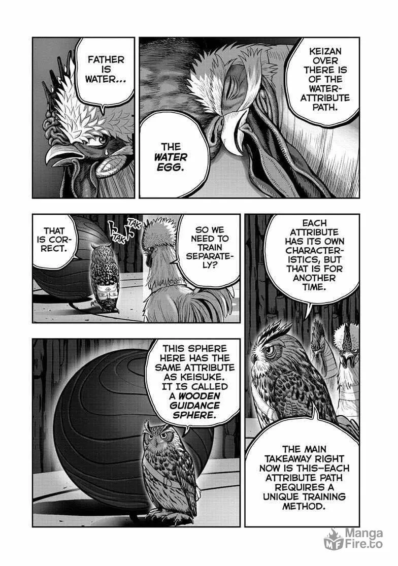 Rooster Fighter Chapter 46 page 24 - 