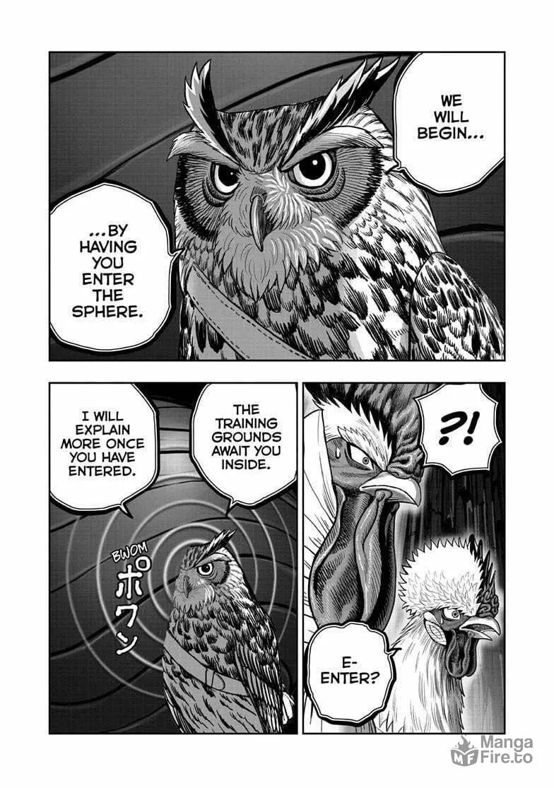 Rooster Fighter Chapter 46 page 25 - 