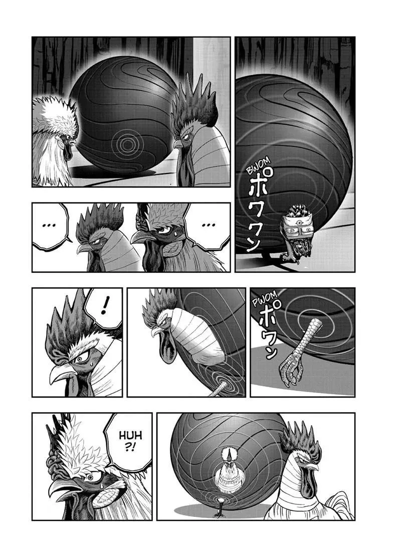 Rooster Fighter Chapter 46 page 26 - 