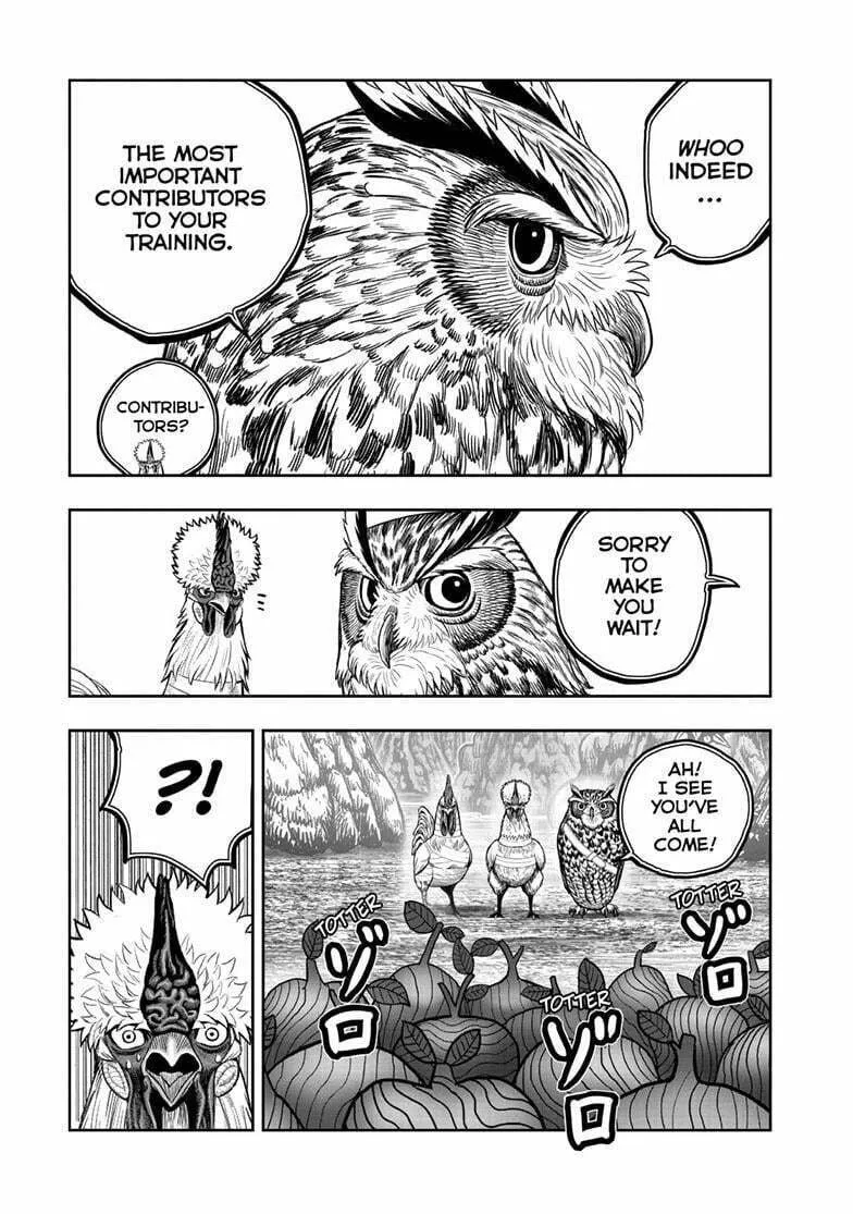 Rooster Fighter Chapter 46 page 32 - 