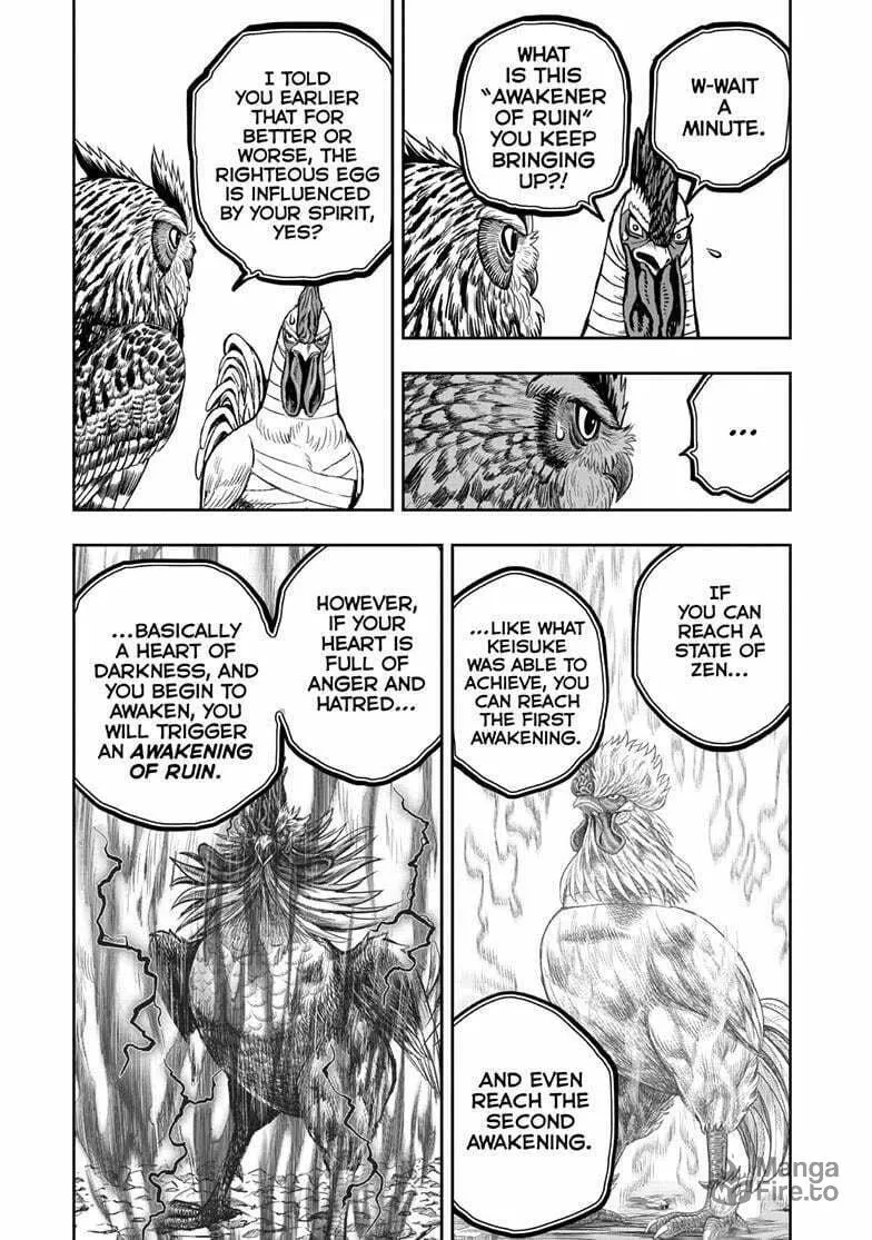Rooster Fighter Chapter 47 page 18 - 