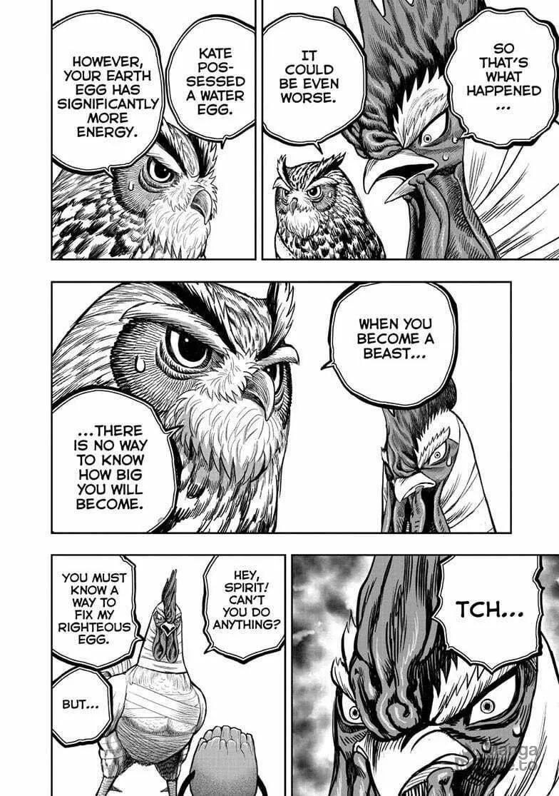 Rooster Fighter Chapter 47 page 21 - 