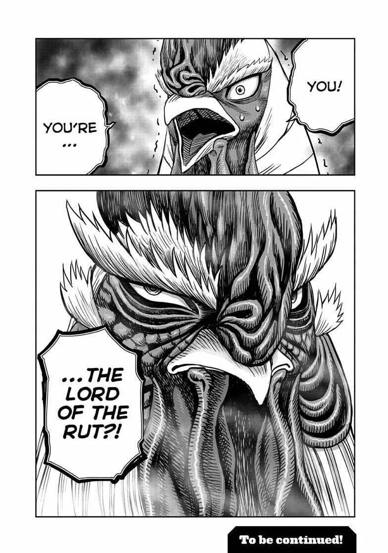Rooster Fighter Chapter 47 page 29 - 
