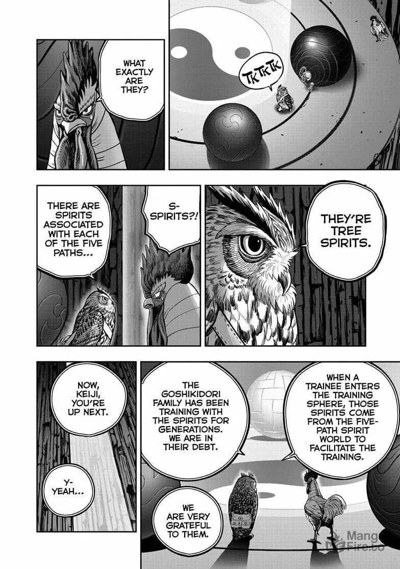 Rooster Fighter Chapter 47 page 9 - 