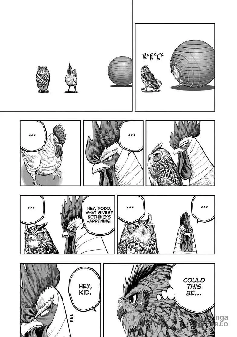 Rooster Fighter Chapter 47 page 10 - 