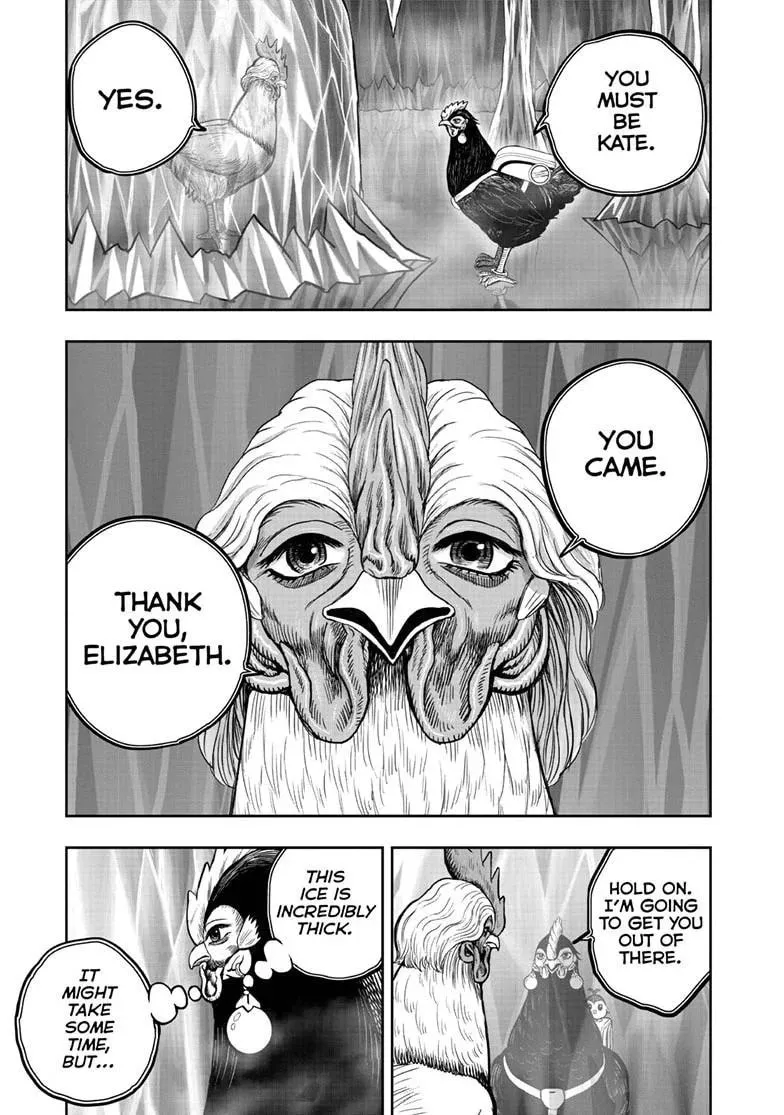 Rooster Fighter Chapter 48 page 16 - 