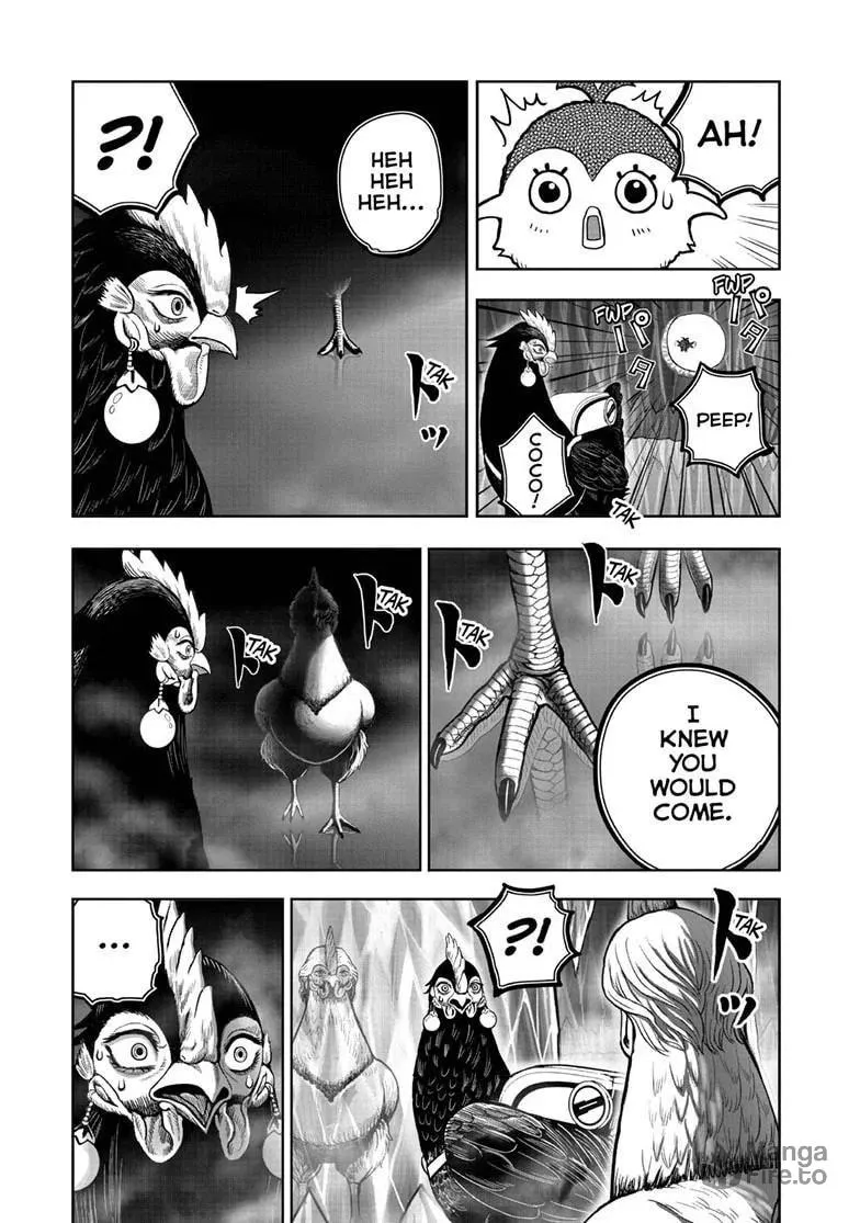Rooster Fighter Chapter 48 page 18 - 