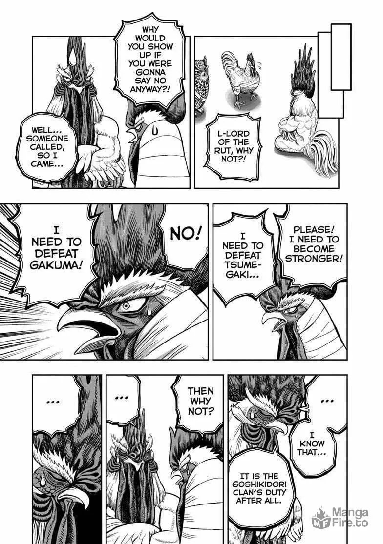 Rooster Fighter Chapter 48 page 20 - 