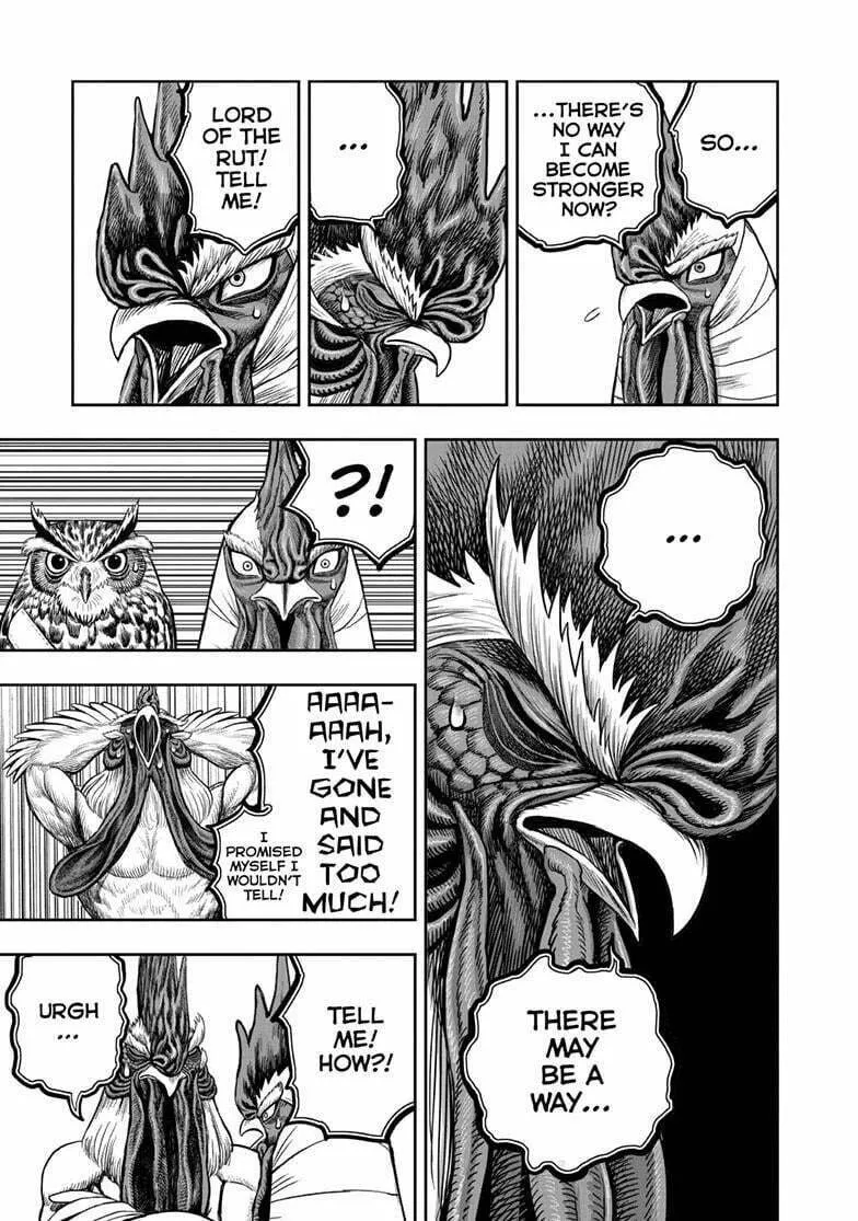 Rooster Fighter Chapter 48 page 22 - 