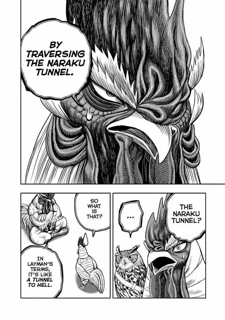 Rooster Fighter Chapter 48 page 23 - 