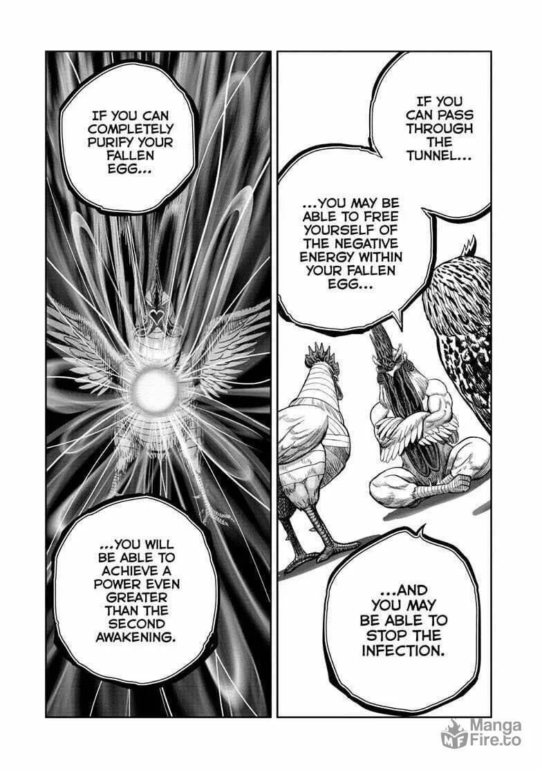 Rooster Fighter Chapter 48 page 24 - 