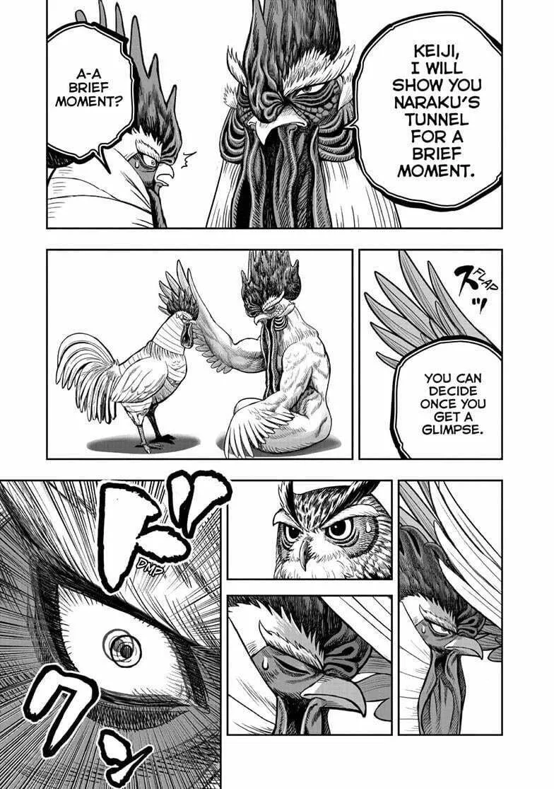 Rooster Fighter Chapter 48 page 26 - 