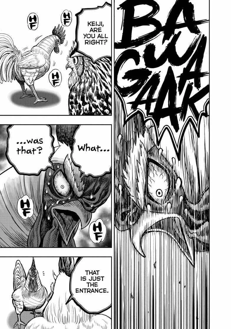 Rooster Fighter Chapter 48 page 28 - 