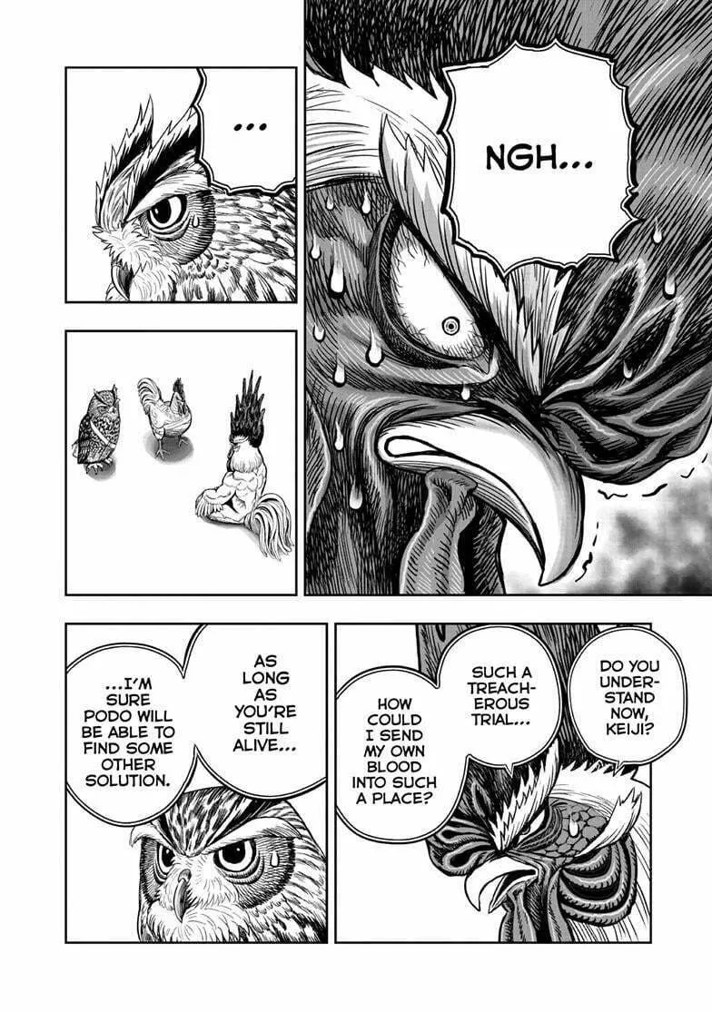 Rooster Fighter Chapter 48 page 31 - 