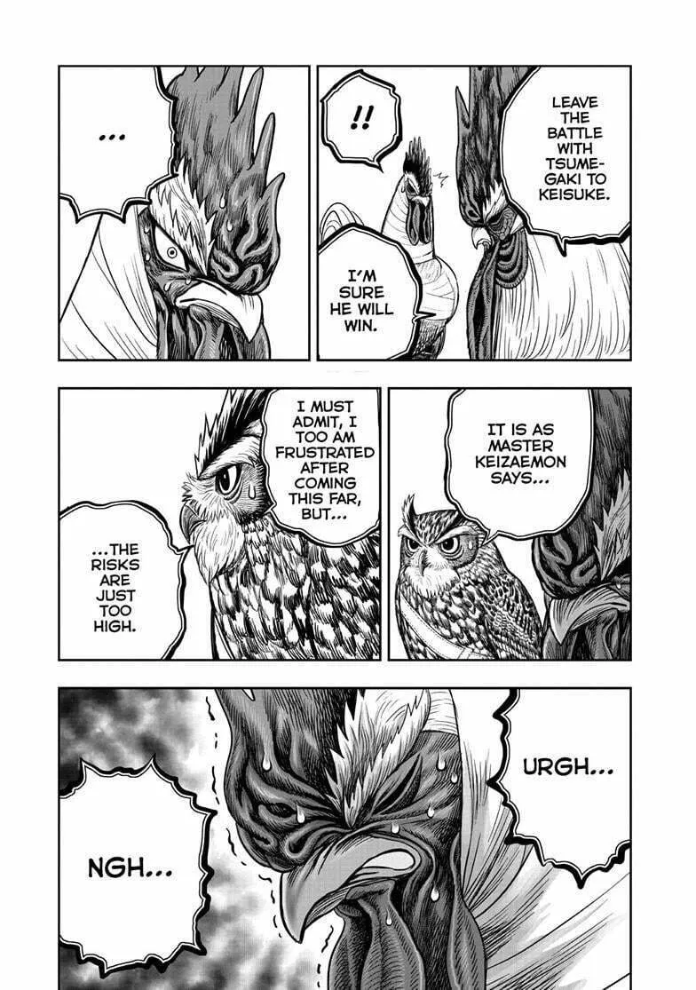 Rooster Fighter Chapter 48 page 32 - 
