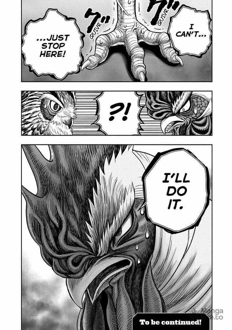 Rooster Fighter Chapter 48 page 33 - 