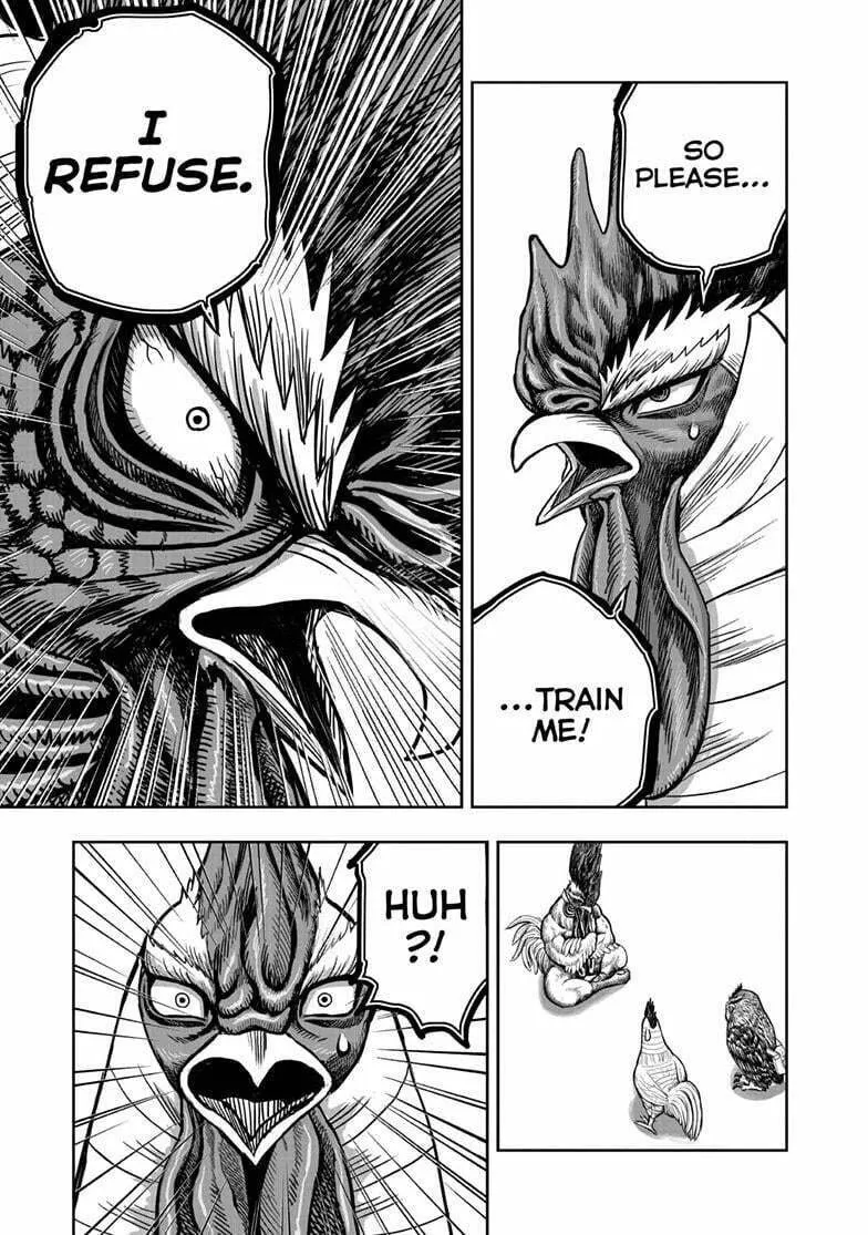 Rooster Fighter Chapter 48 page 8 - 