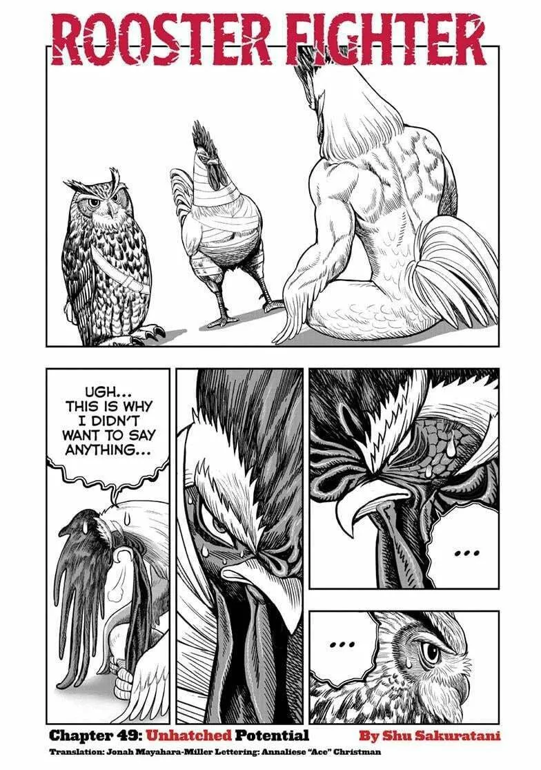 Rooster Fighter Chapter 49 page 2 - 