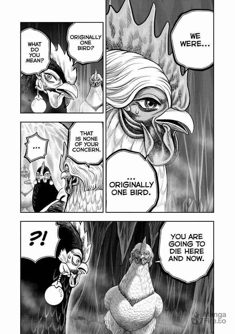 Rooster Fighter Chapter 49 page 12 - 
