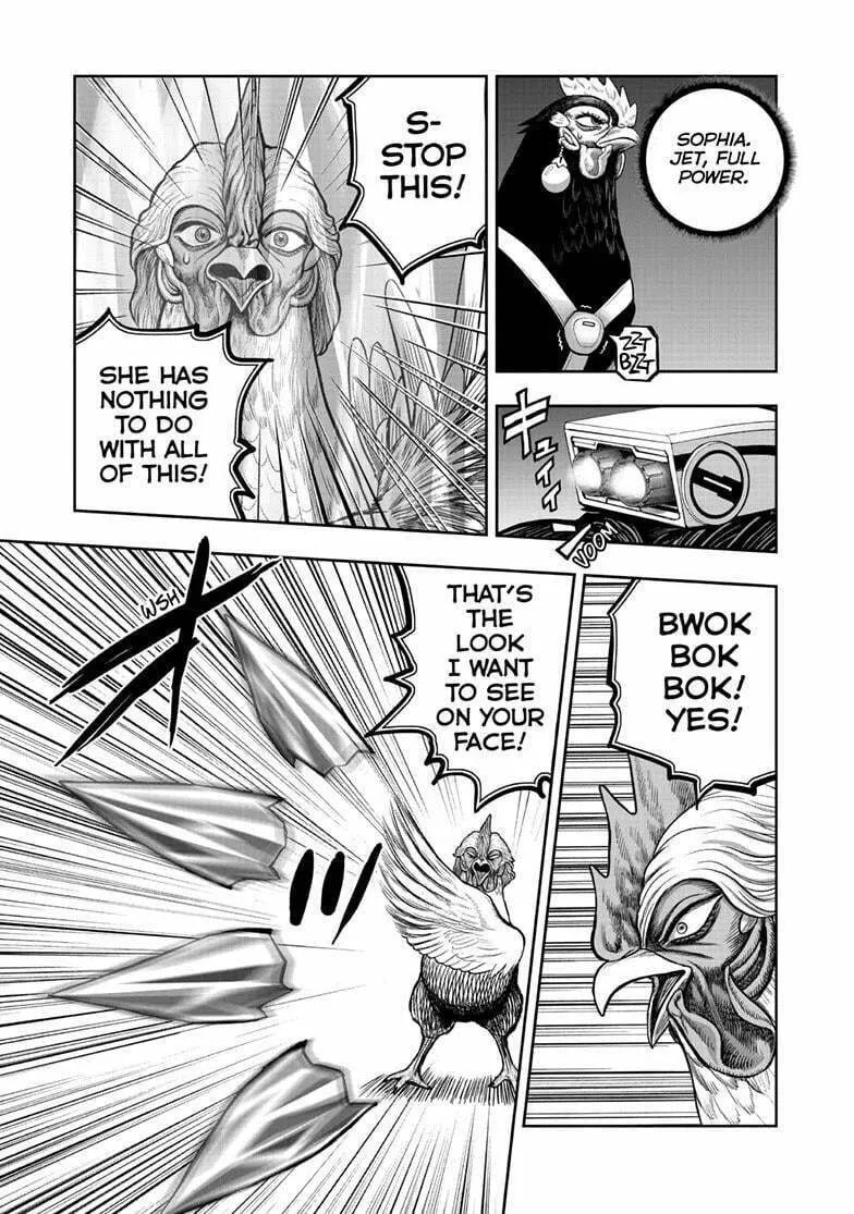 Rooster Fighter Chapter 49 page 14 - 