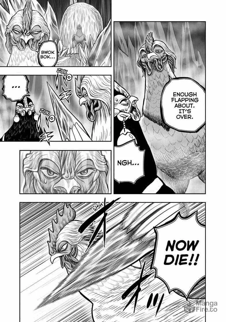 Rooster Fighter Chapter 49 page 20 - 