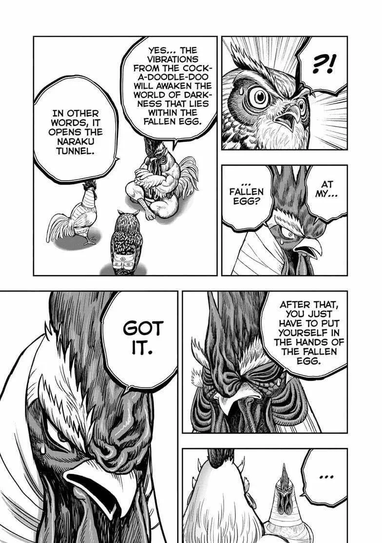 Rooster Fighter Chapter 49 page 4 - 
