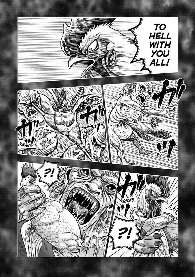 Rooster Fighter Chapter 49 page 31 - 