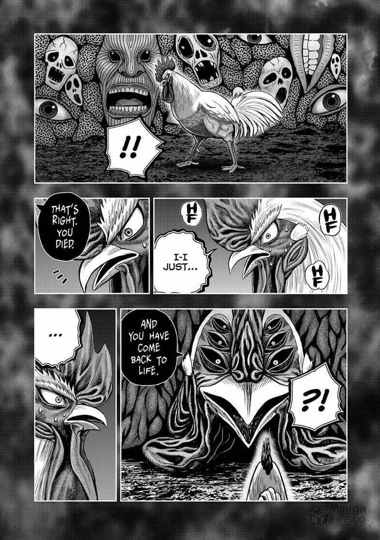 Rooster Fighter Chapter 49 page 33 - 